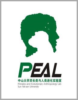 广州动物园/长隆野生动物园灵长类研究员工志愿者招募